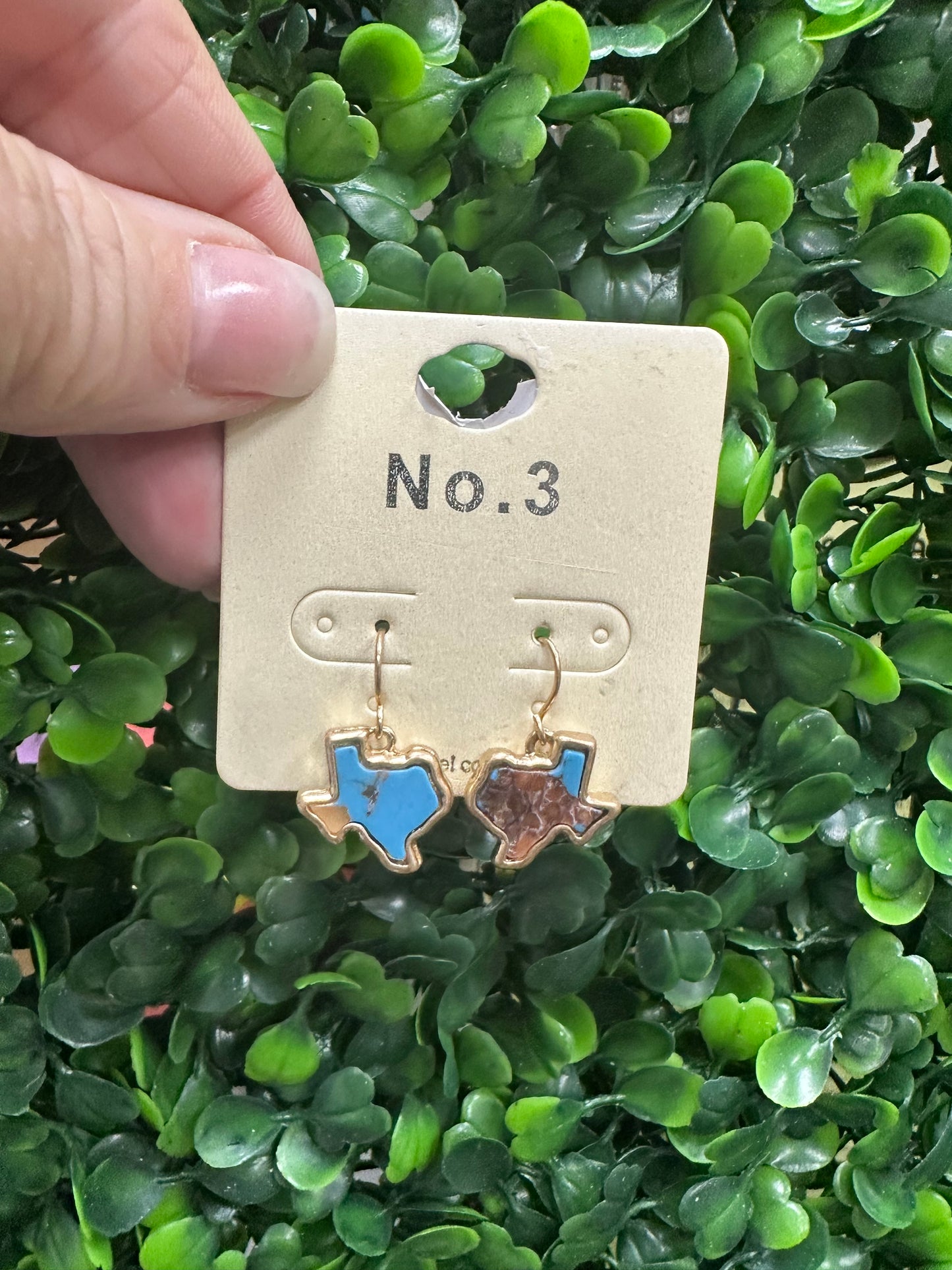 Turquoise Texas Earrings