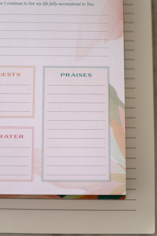 A Year of God's Goodness:A Prayer & Praise Tracker for Women