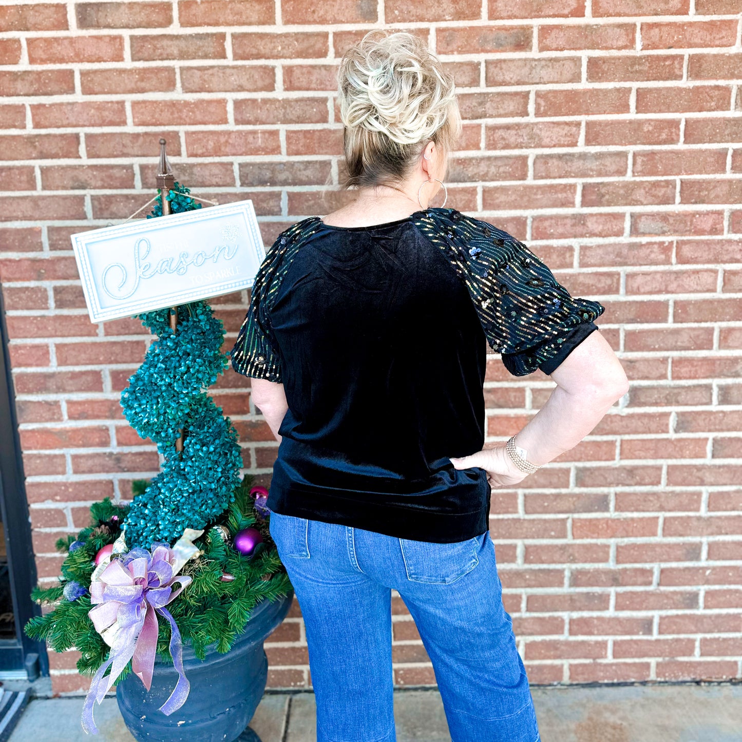 Velvet & Sequin Top with Puff Sleeve